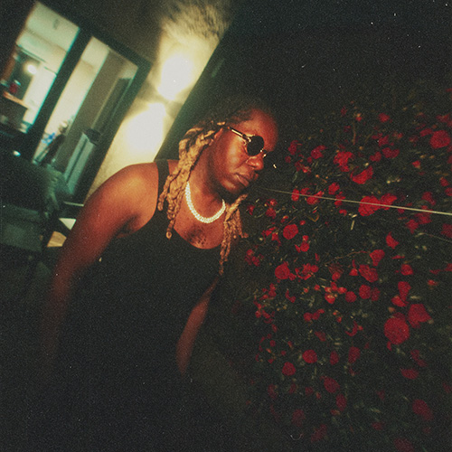 Jupiter Grey - Garden